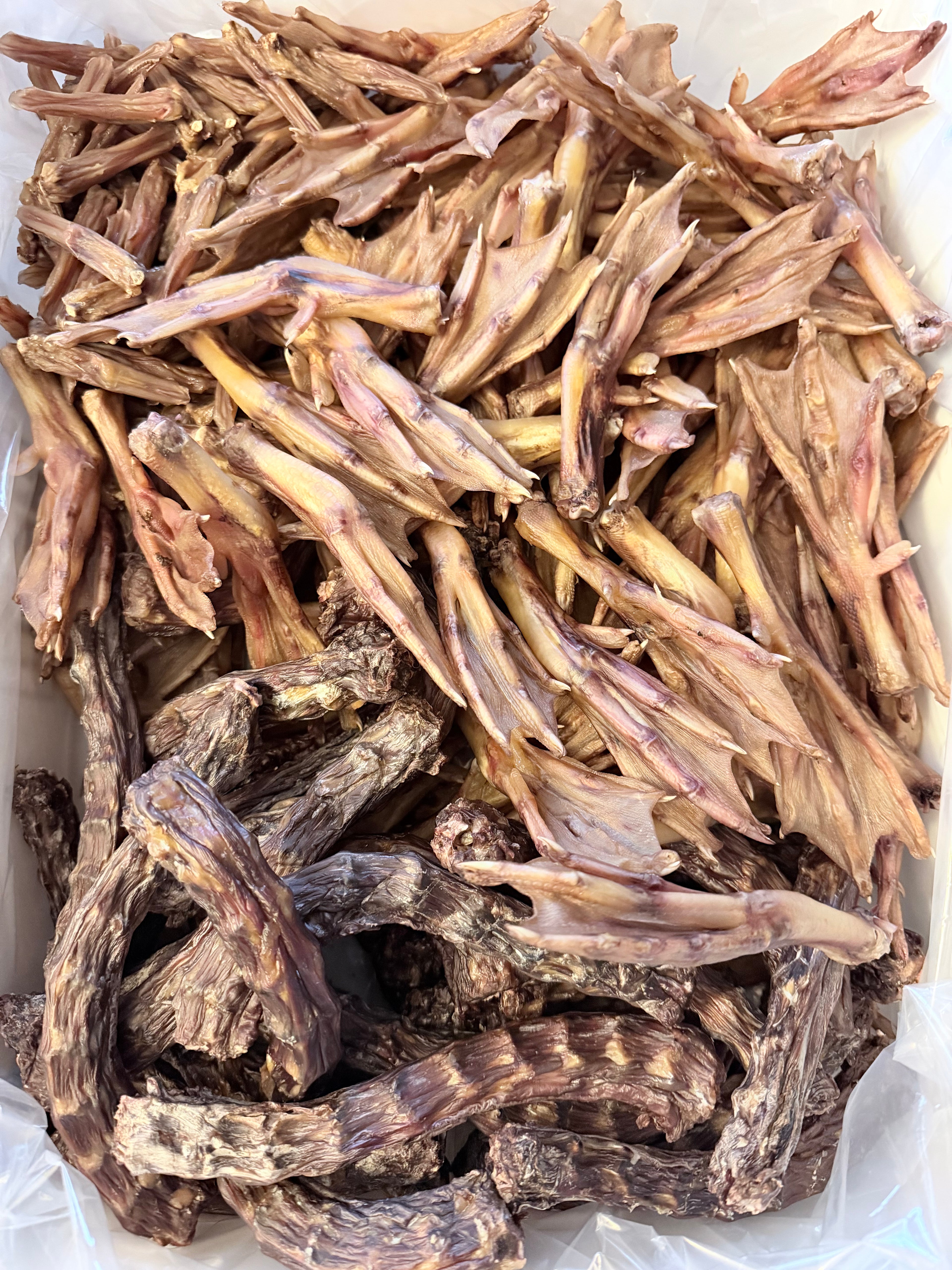 Duck Feet