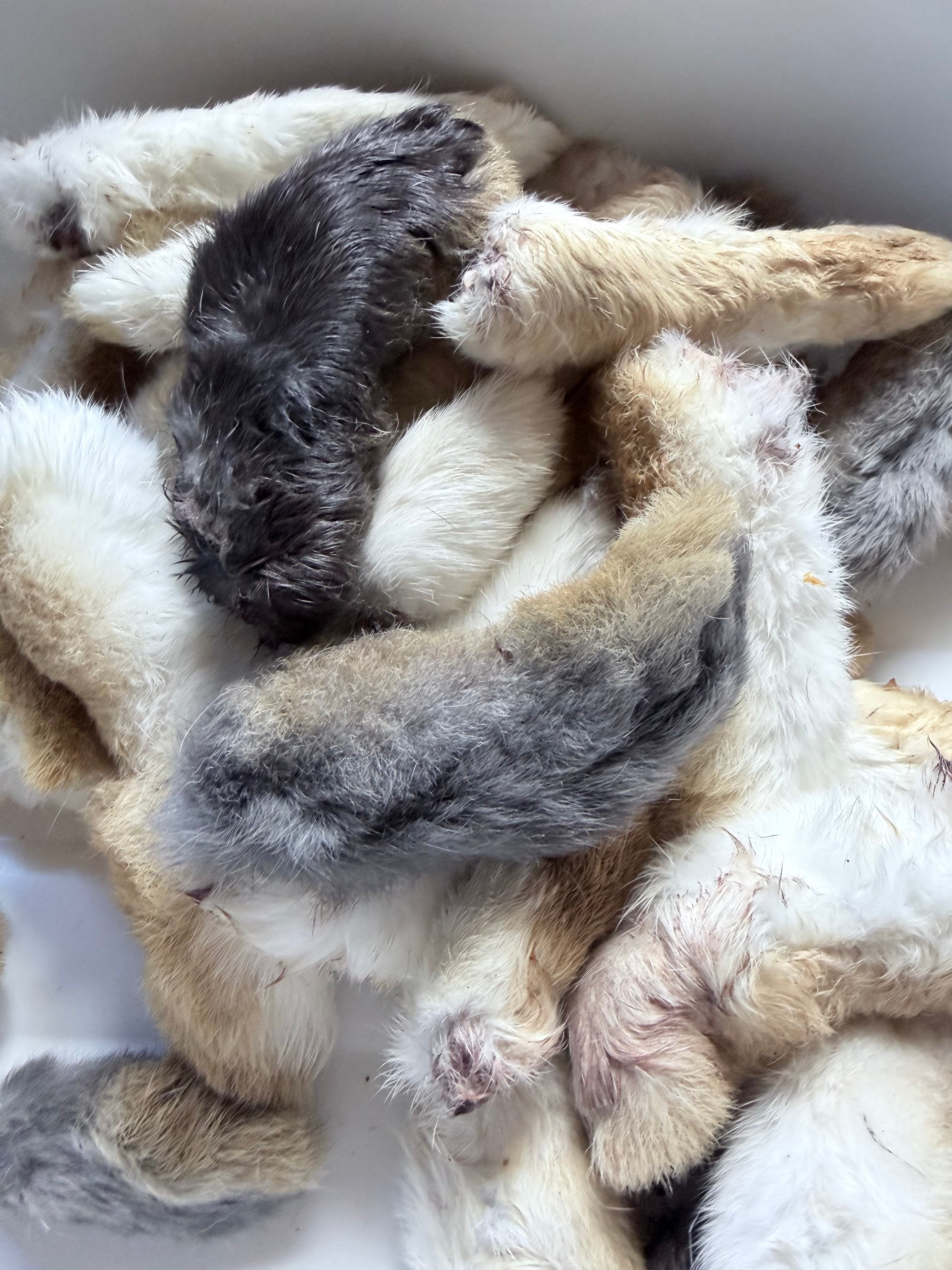 Air-Dried Rabbit Feet