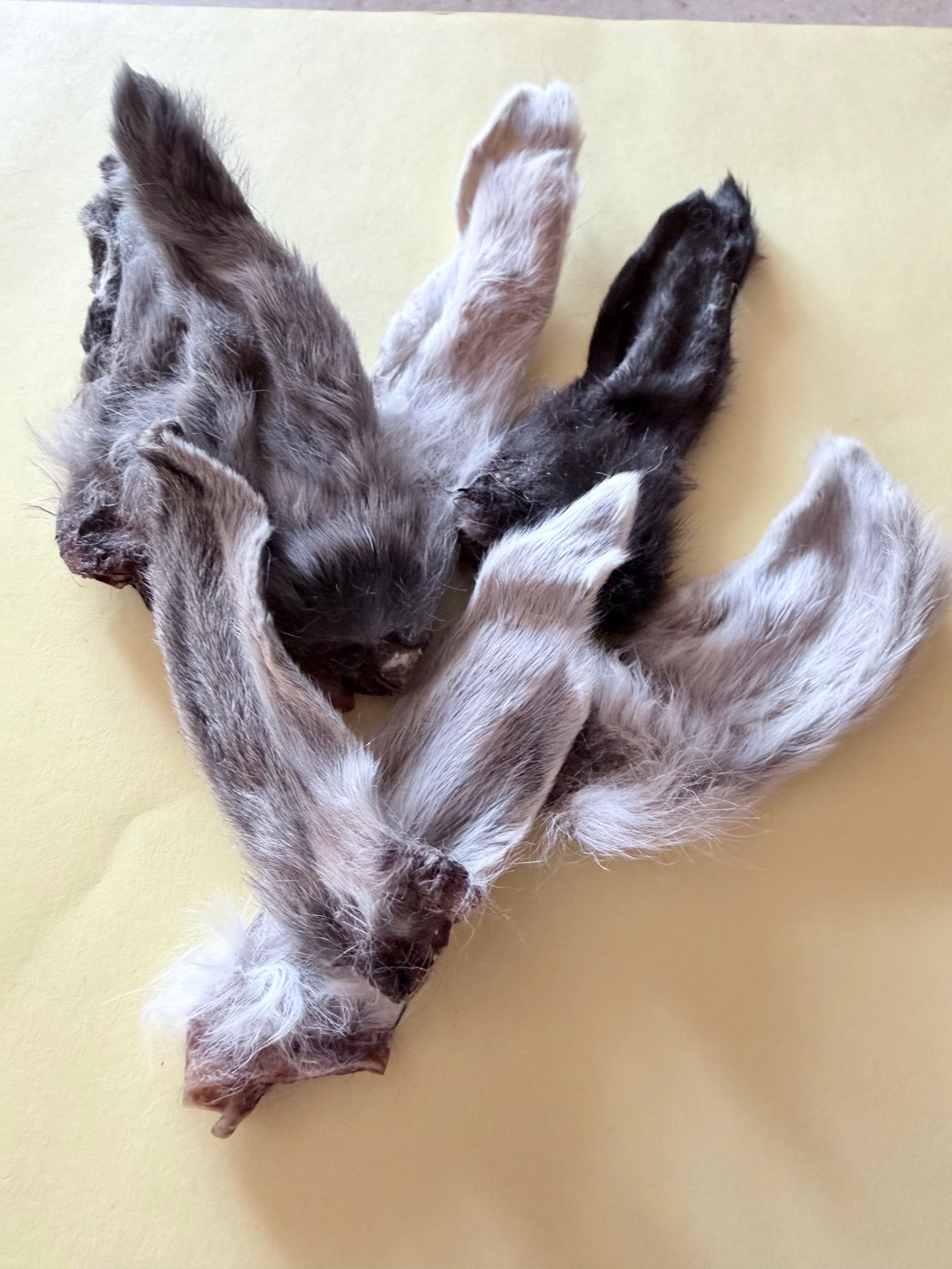 Air-dried Rabbit Ears
