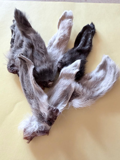 Air-dried Rabbit Ears