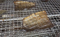 Salmon Skins